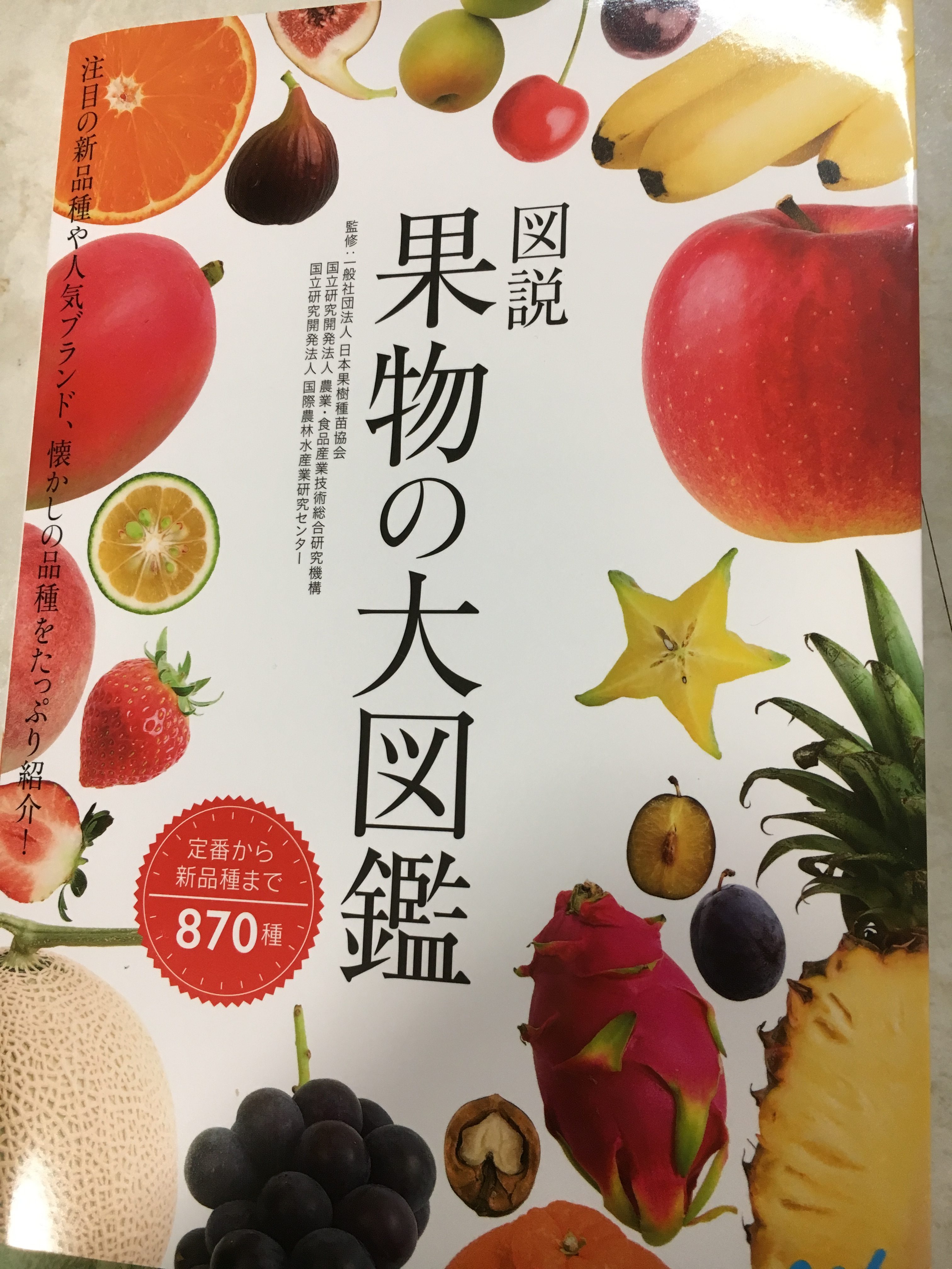 果物を勉強するにはこの本がベスト！定番品種から新品種まで８７０種類の果物を追求した本『図説　果物の大図鑑』