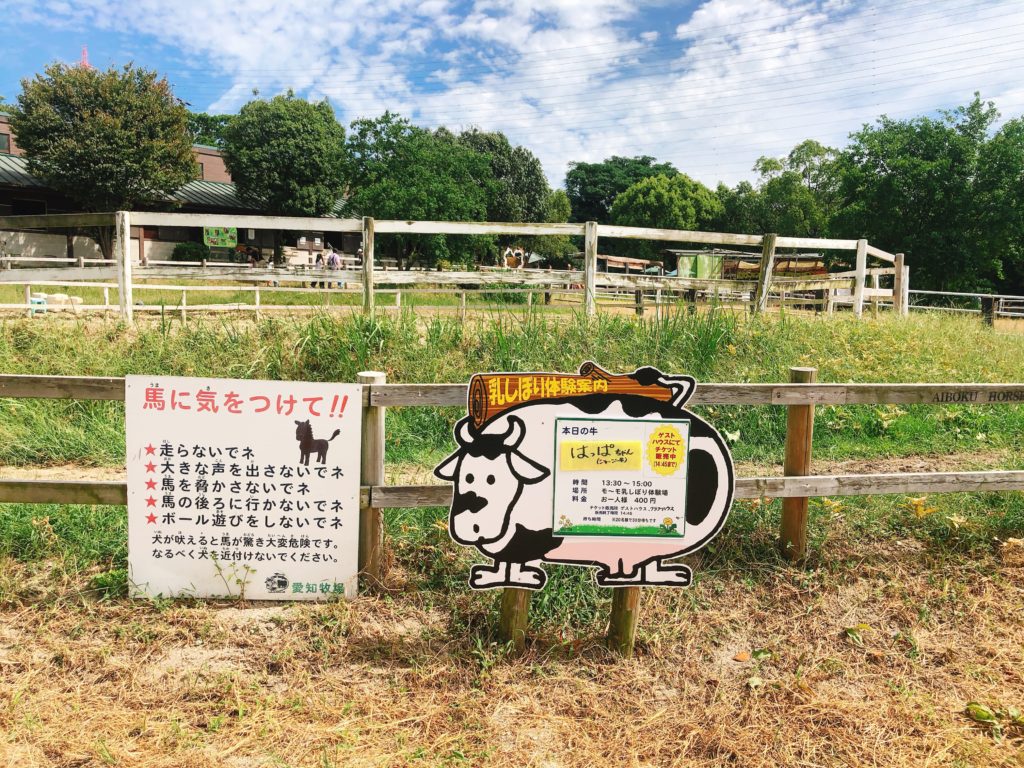 愛知牧場の乳搾り体験