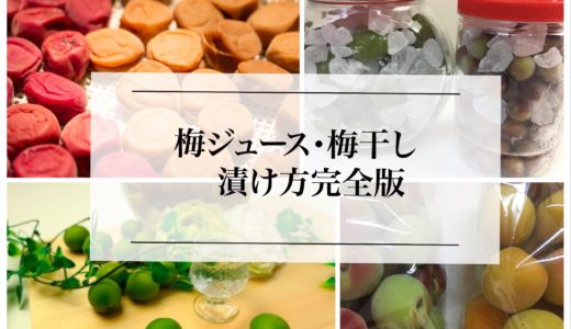【初心者向け梅の完全攻略法】梅干しの漬け方、梅ジュースの作り方。失敗しない方法は？