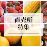 愛知県の果物の直売所オススメ『７選』野菜農家直売所『４選』