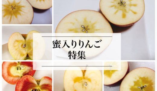 蜜入りりんごは甘い？りんごの蜜は甘くない？蜜入りしやすいりんごのまとめ