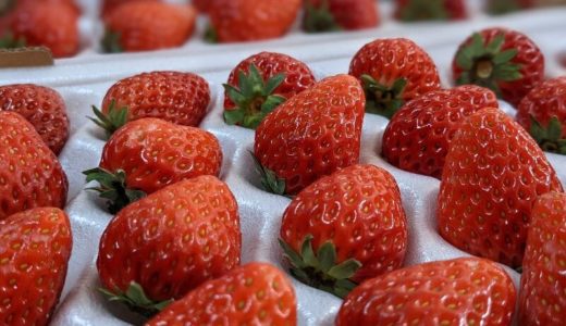 名駅激安八百屋『安兵衛青果』は本当に激安だった。