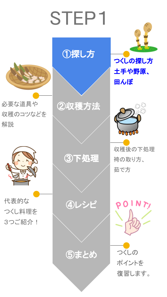 保存版 つくしの採り方 下ごしらえ レシピまで完全攻略 名古屋グルメ ぱるとよ