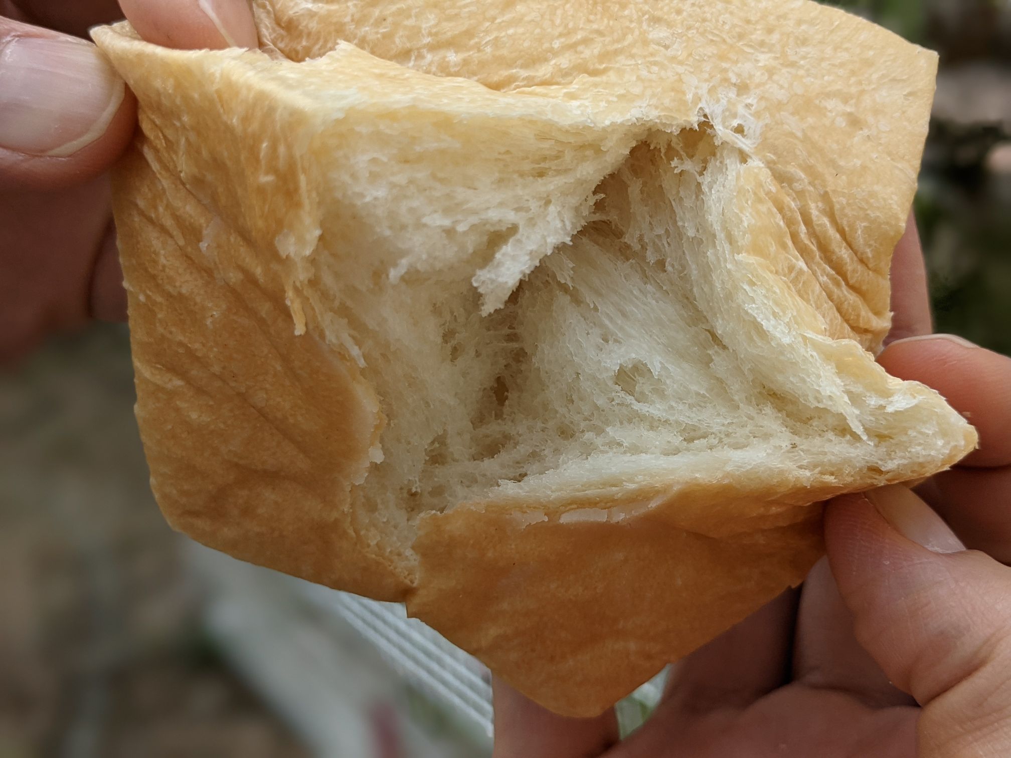 コアラのあくびのパン