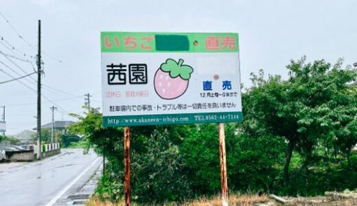 【大府の桃】茜園の桃が絶品！販売期間は6月～9月