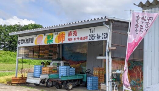 豊田市！『はせがわ農園』の「桃」は最高！完熟桃、すもも、梨が購入できる！