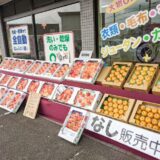 犬山市「クリーニング屋 Amie（アミー）」で果物がお値打ちに購入できる！