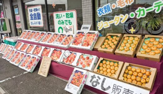 犬山市「クリーニング屋 Amie（アミー）」で果物がお値打ちに購入できる！