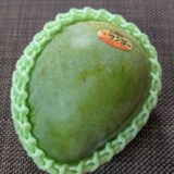 沖縄産！幻の「キーツマンゴー」の食べ頃、保存方法、切り方を「果物のプロ」が解説！