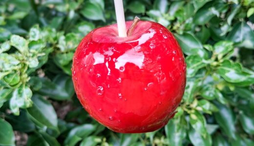 【名古屋大須】りんご飴専門店『ar.アール』がオープン！大須 食べ歩きに最適