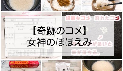 コメ【女神のほほえみ】大粒で粘りが強いお米！保存方法、炊き方なども解説