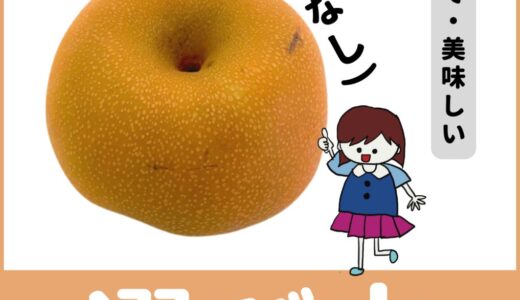 美味しい梨の見分け方・選び方とは？知ってるだけで得する！