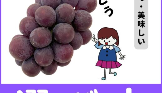 美味しいぶどうの見分け方・選び方とは？知ってるだけで得する！