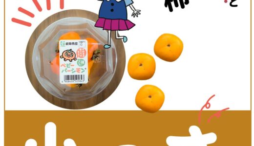 小さな可愛らしい「柿」！種無しで皮ごと食べられるベビーパーシモン！