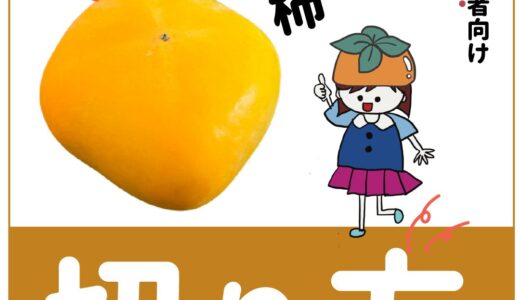 初心者でも簡単！柿をキレイに切る・剥く方法を解説！