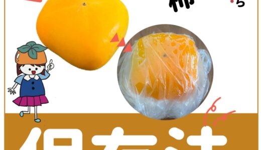 柿を長持ちさせる保存方法を3つ紹介！1ヶ月以上も長持ちする方法も！
