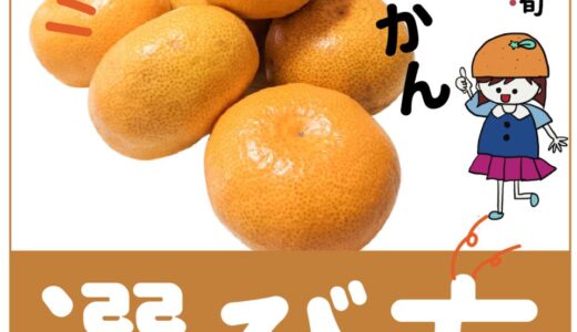 ハズレの「みかん」を選ばない見分け方とは？知ってるだけで得する豆知識