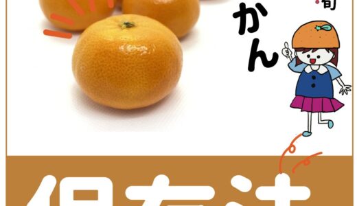 「みかん」を長持ちさせるオススメの保存方法3つ