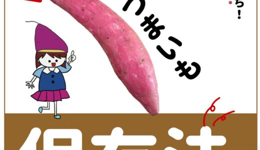 「さつまいも」を長持ちさせる保存方法を3つ紹介！1ヶ月以上も長持ちする方法も！