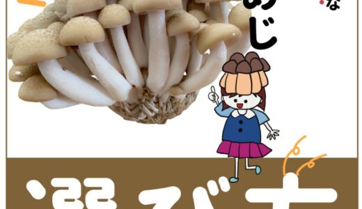 ハズレの「しめじ」を選ばない！見分け方・選び方とは？知ってるだけで得する！