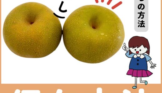 おすすめの「梨」の保存方法「3つ」！1ヶ月以上も長く保つ方法も解説！