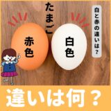 「白い卵」、「赤い卵」は何が違うの？栄養価に違いはあるの？
